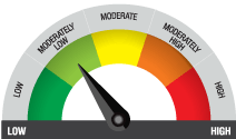 Riskometer